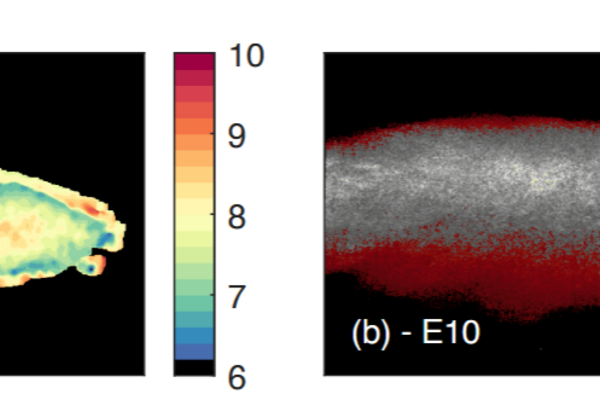 Evaporation of Alternative Fuel Mixtures in Engine Sprays Evaporation of Alternative Fuel Mixtures in Engine Sprays